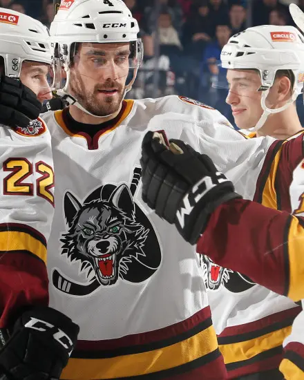 Photo of the Chicago Wolves Hockey Team